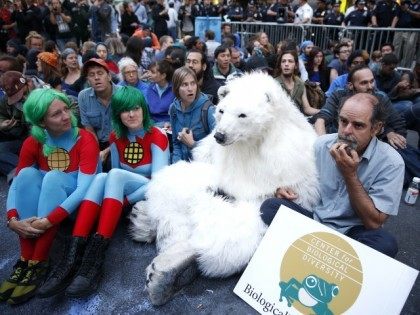 AP Photo/Seth Wenig