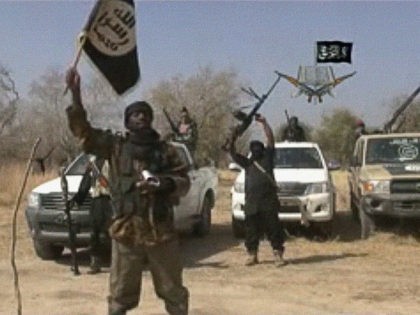 NIGERIA, UNKNOWN : A screen grab made on January 20, 2015 from a video of Nigerian Islamis