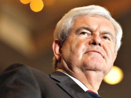 newt gingrich