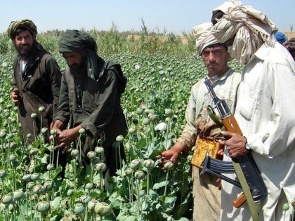 **FILE** A Taliban militant is seen with an AK- 47 rifle gun, right, as farmers collect re