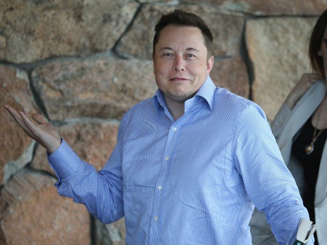 Elon Musk shrugs