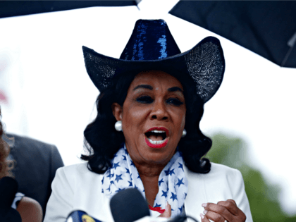 U.S. Congresswoman Frederica Wilson speaks during a news conference in front of the Homest
