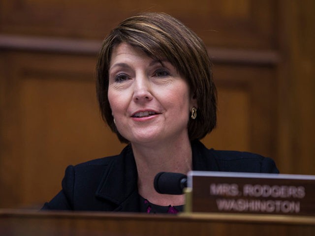 WASHINGTON, DC - APRIL 02: Rep. Cathy McMorris Rodgers (R-WA) questions Gov. Jay Inslee (D