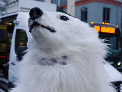 Joel Pollak Debates Climate Activist Dressed as Polar Bear Before Democrat Debate