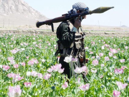 In this photograph dated 15 April 2005, an Afghan soldier with a rocket is pictured in a d