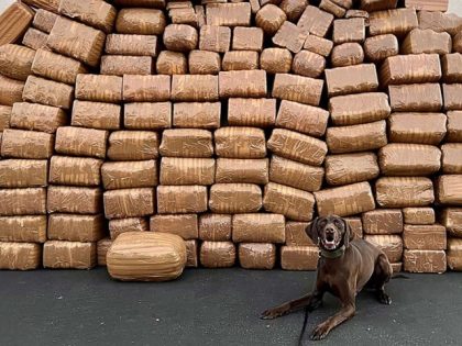 A DEA K-9 poses with more than 5,000 pounds seized during the first week of July in San Di