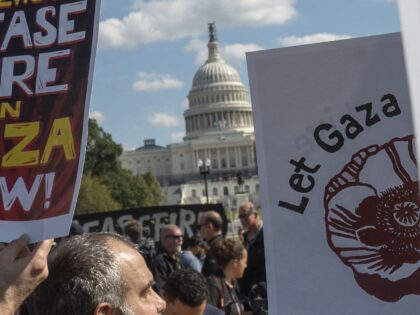Capitol Gaza protest (Roberto Schmidt / AFP via Getty)