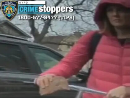 suspected Tesla vandal NYC
