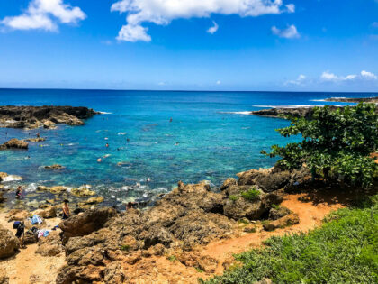 A lovely day snorkeling in Hawaii!