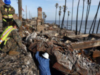 JPMorgan CEO: Democrats’ ‘Blue Tape’ Regulations Slowing L.A. Fire Cleanup